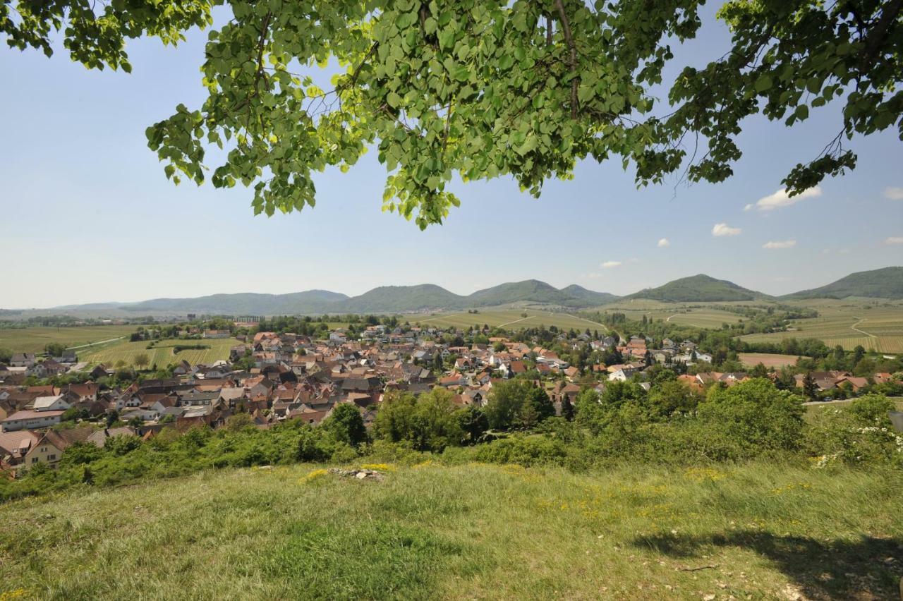 Отель Wein-Domizil Brennofen Ilbesheim bei Landau in der Pfalz Экстерьер фото